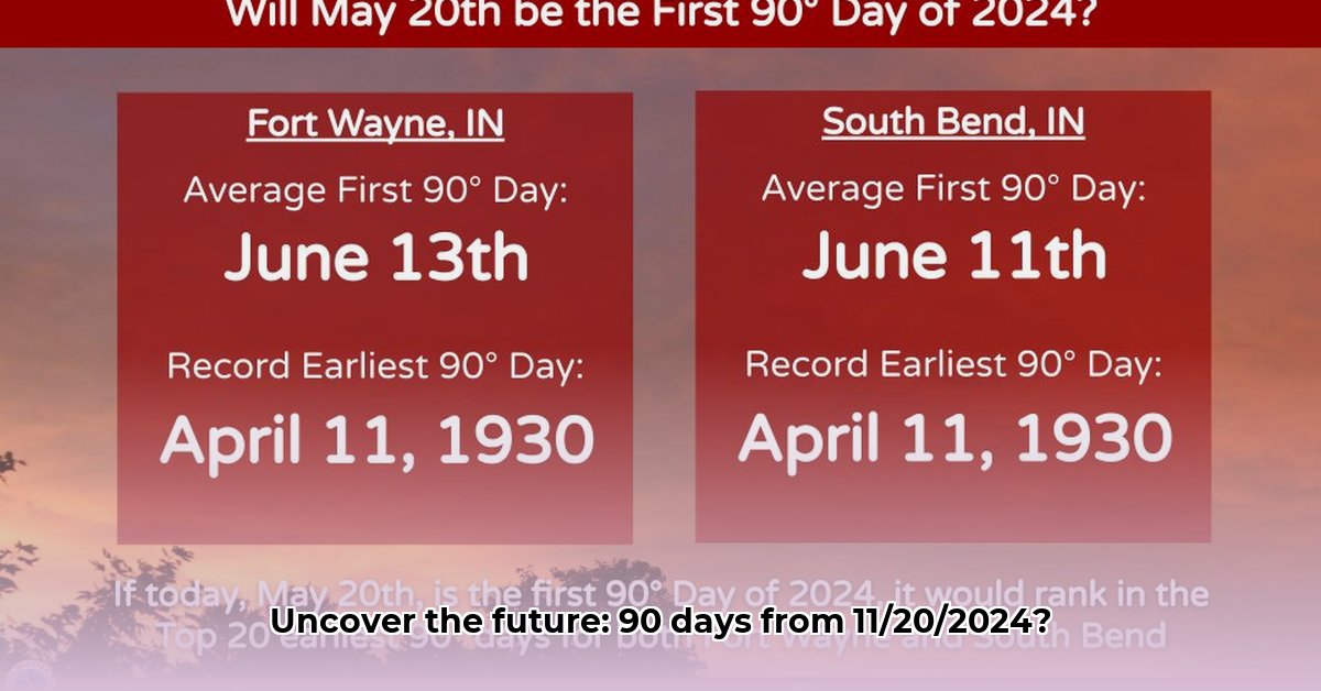 90-days-from-11-20-2024